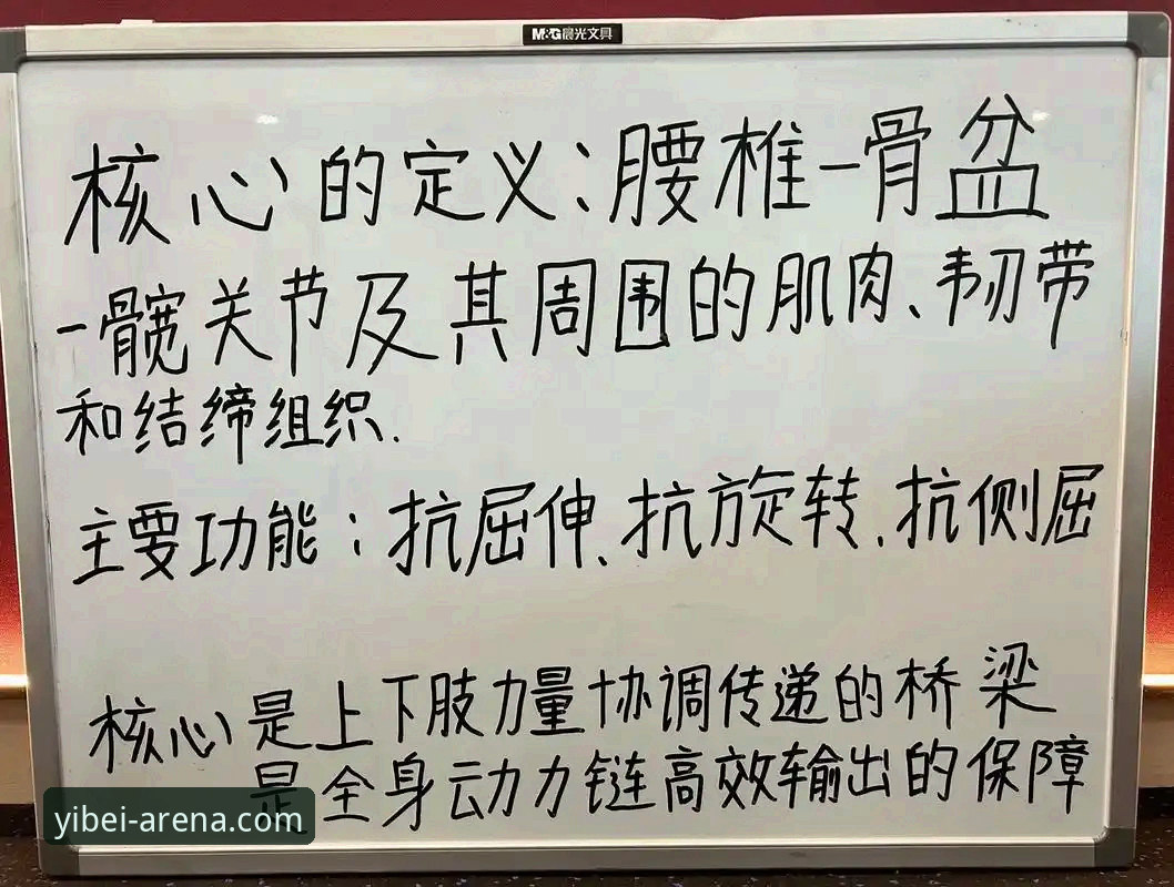 从入门到精通，资深用户分享易倍体育平台使用心得与实战经验